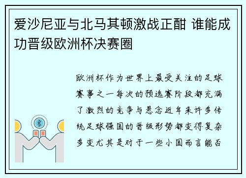 爱沙尼亚与北马其顿激战正酣 谁能成功晋级欧洲杯决赛圈