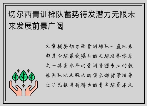 切尔西青训梯队蓄势待发潜力无限未来发展前景广阔