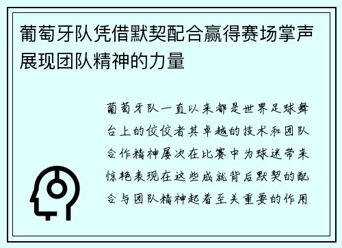 葡萄牙队凭借默契配合赢得赛场掌声展现团队精神的力量