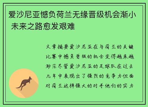 爱沙尼亚憾负荷兰无缘晋级机会渐小 未来之路愈发艰难