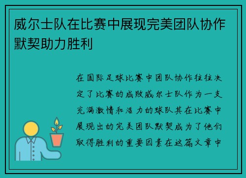 威尔士队在比赛中展现完美团队协作默契助力胜利